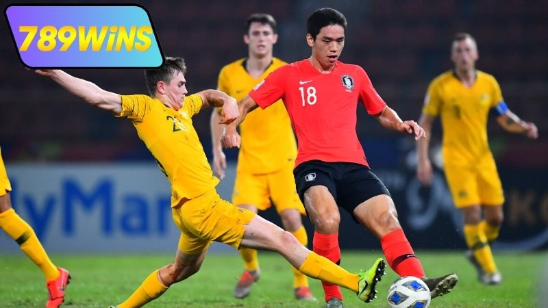 Kèo Châu Á là gì và cách chơi kèo Asian